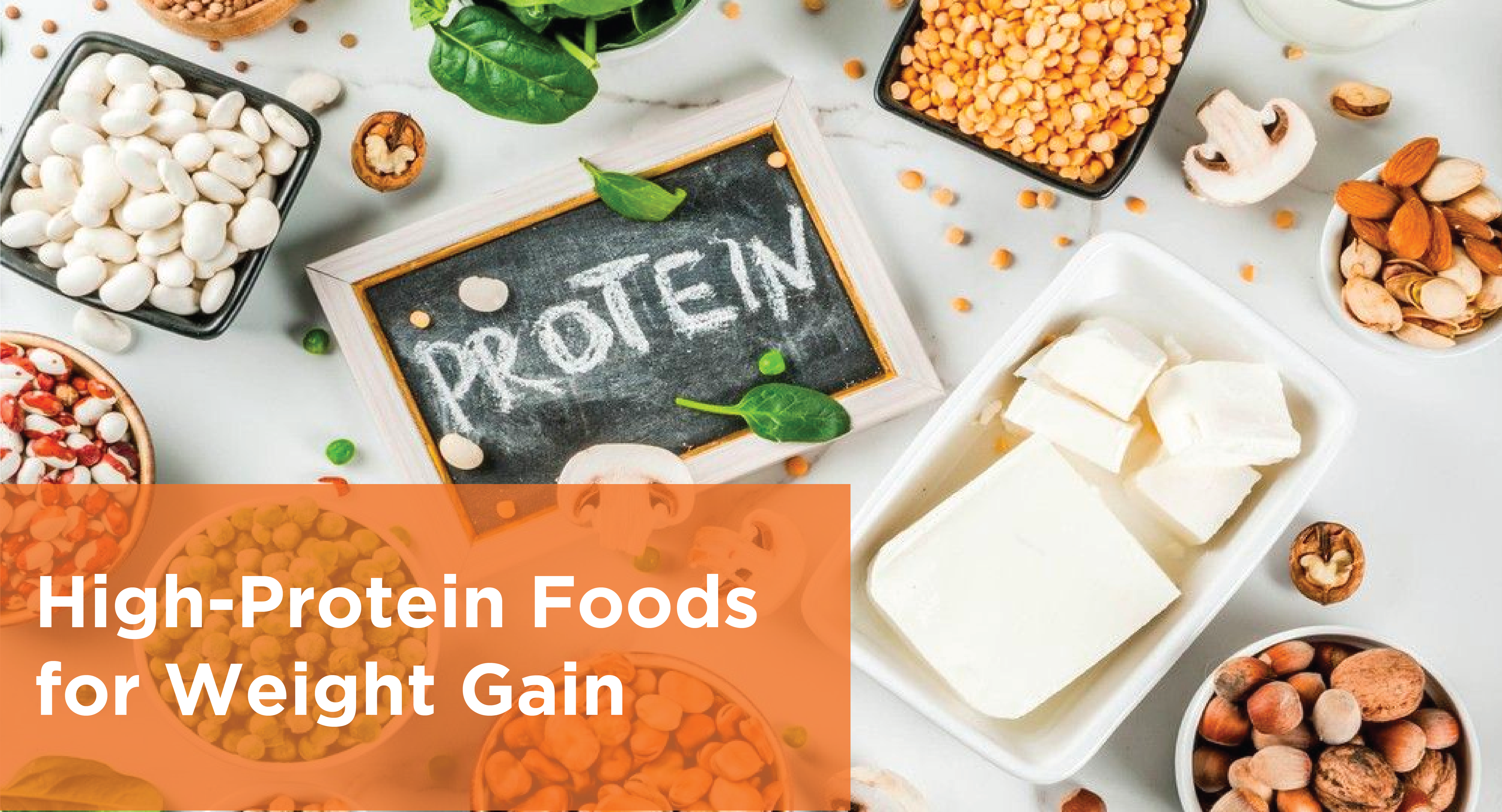 Foods High In Protein foods-high-in-protein