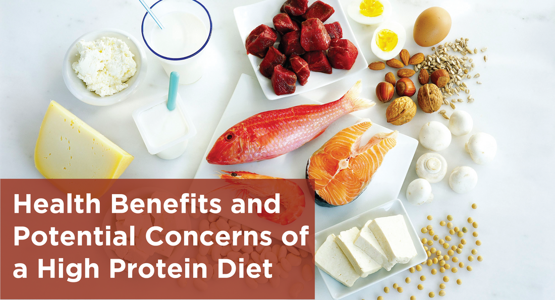 Health Benefits and Potential Concerns of a High Protein Diet