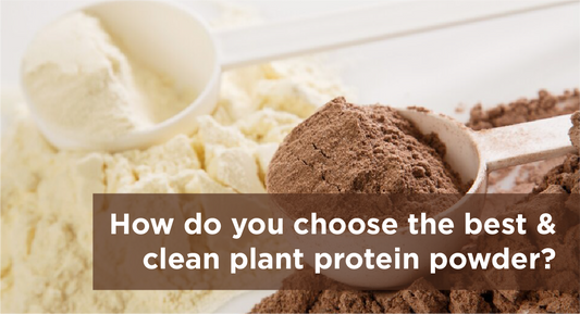 How do you choose the best and clean plant protein powder?