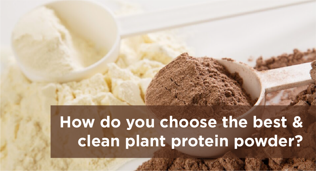 How do you choose the best and clean plant protein powder?