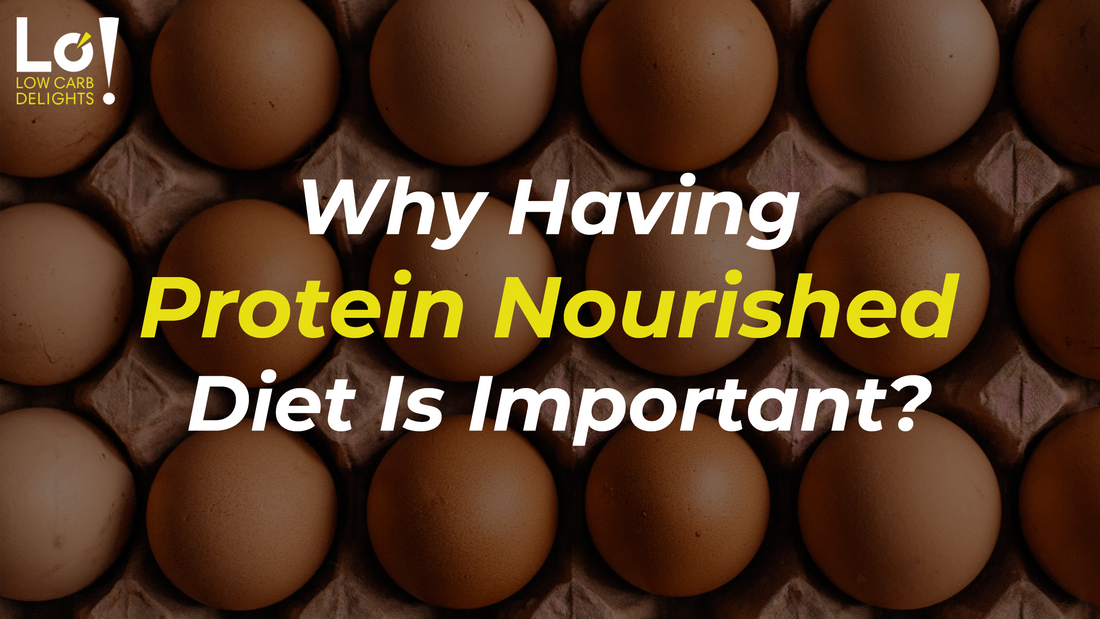 Why Having Protein Nourished Diet Is Important?