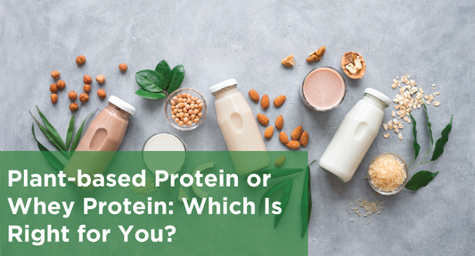 Plant-based Protein or Whey Protein: Which Is Right for You?