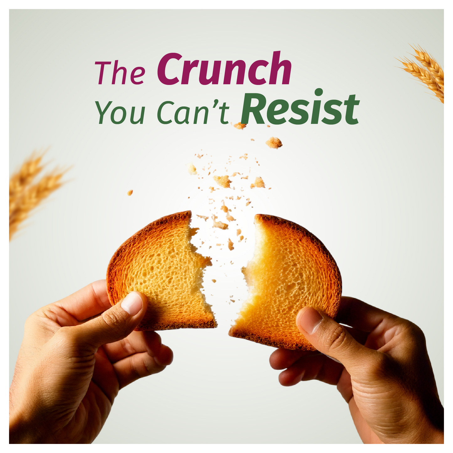 Zero Maida High Protein Wheat Rusk