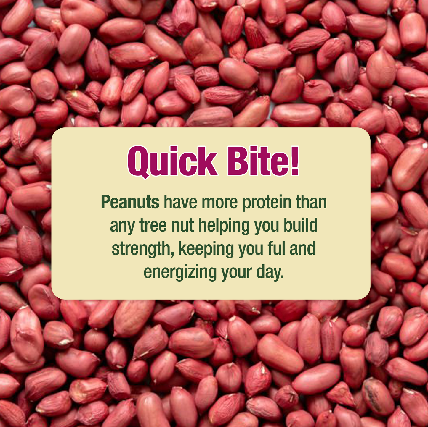 High Protein Salted Peanuts